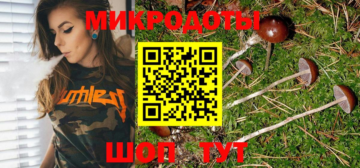 Галлюциногенные грибы Cubensis  Вход с VPN  Галлюциногенные грибы GOLDEN TEACHER  купить   Горно-Алтайск 