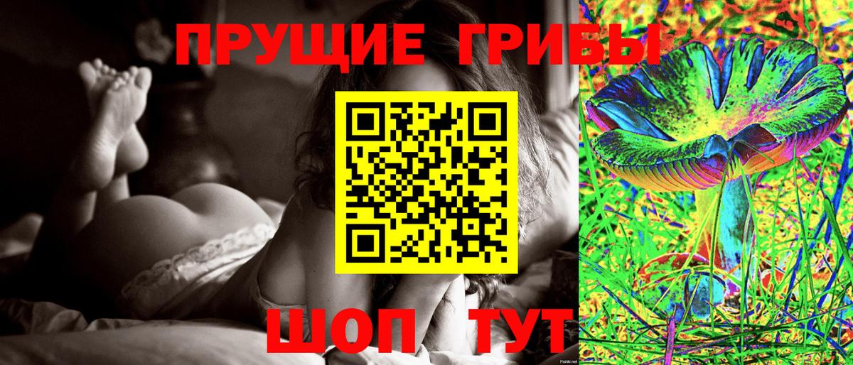 Псилоцибиновые грибы Cubensis Горно-Алтайск